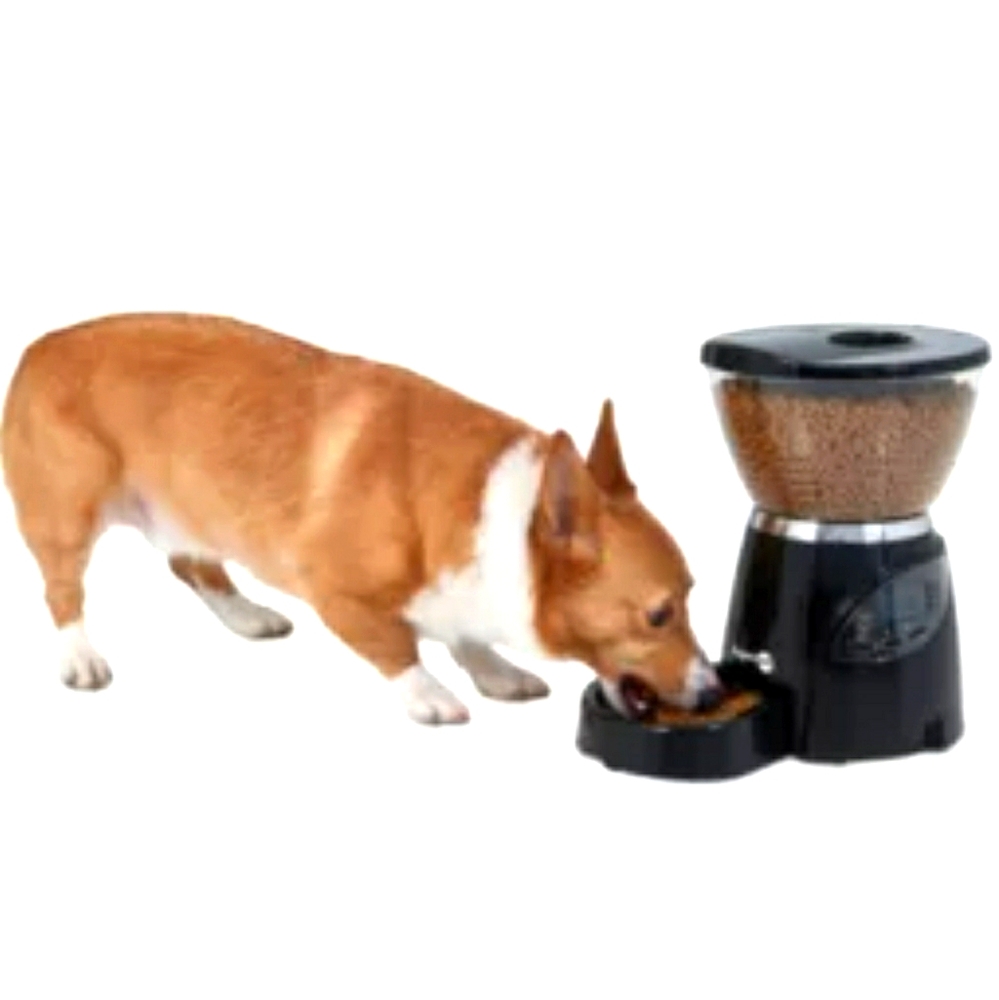 Aspen Pet Automatic Feeder with Timer